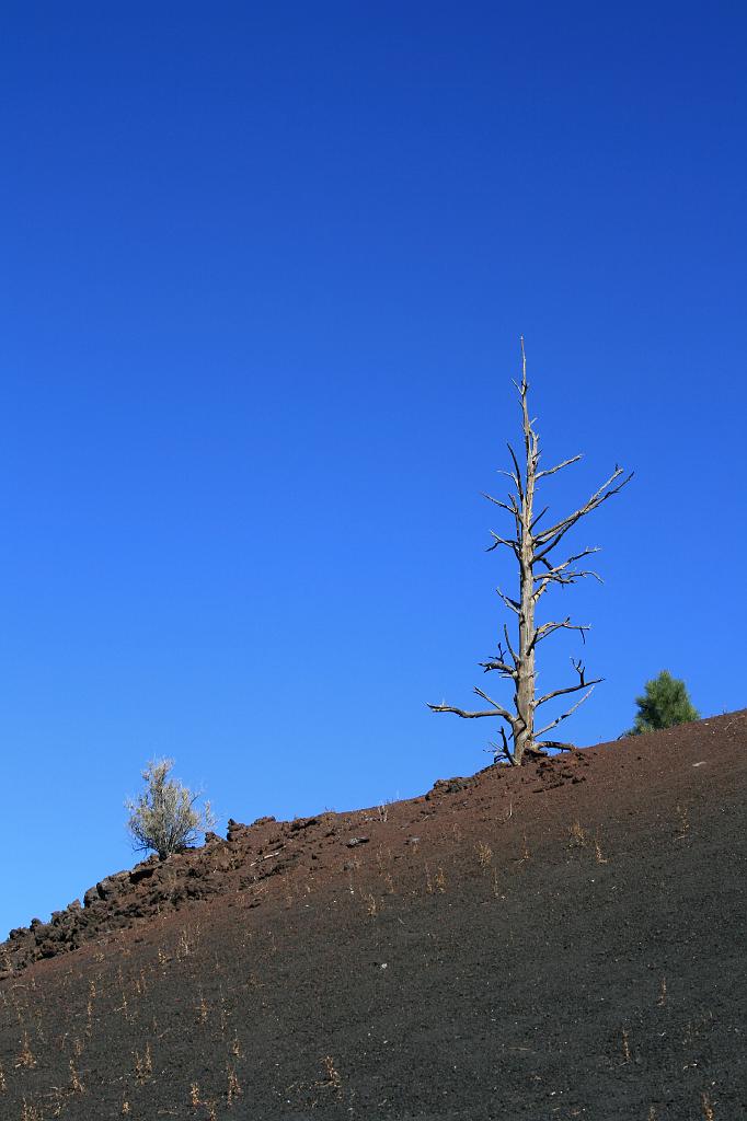 20081025 Grand Canyon 025.jpg - Sunset Crater